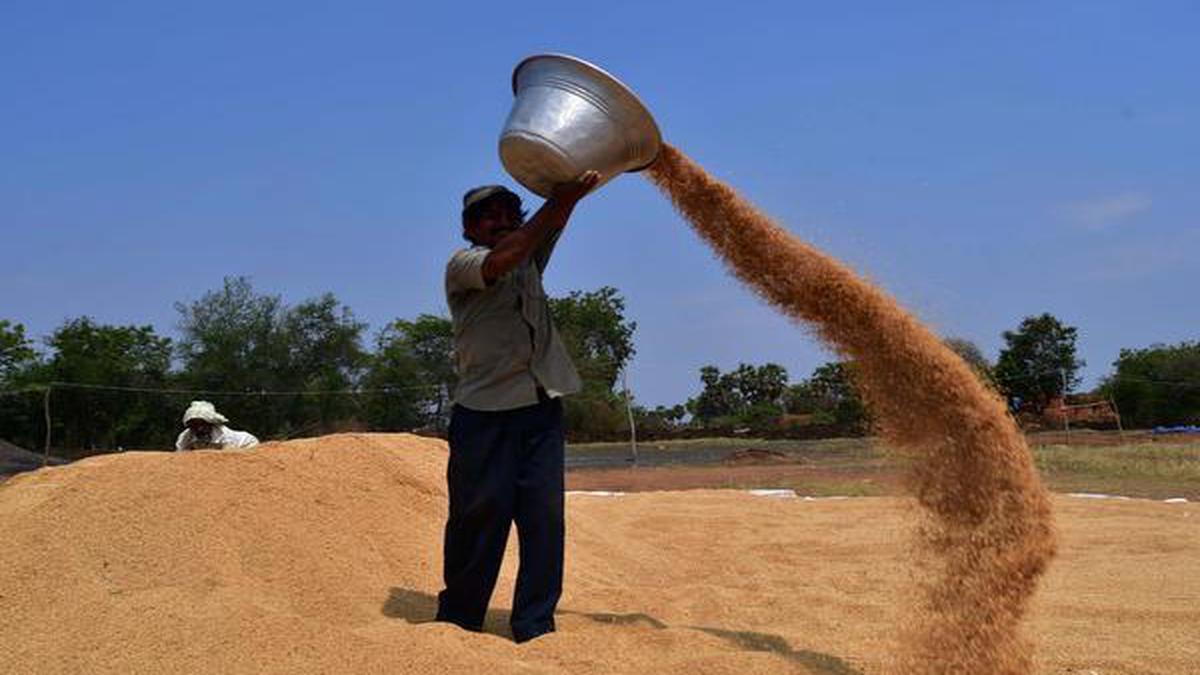 It’s about food, nutrition and livelihood security