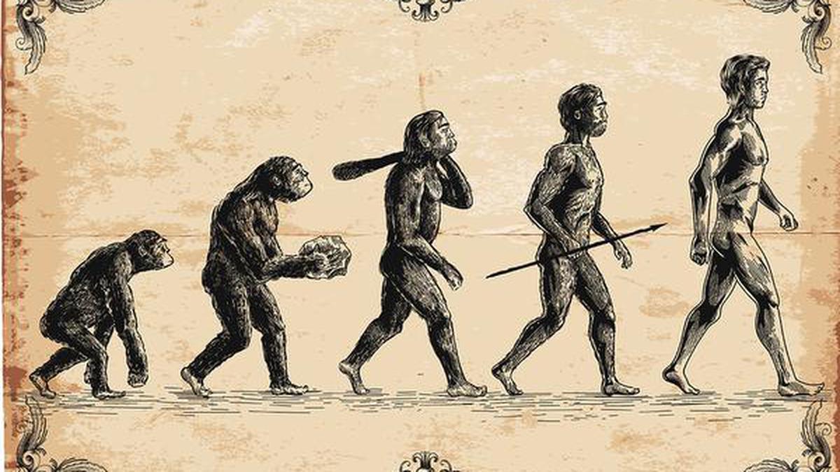 Genomic clues suggest humans’ ancestors nearly went extinct 9L years ago
Premium