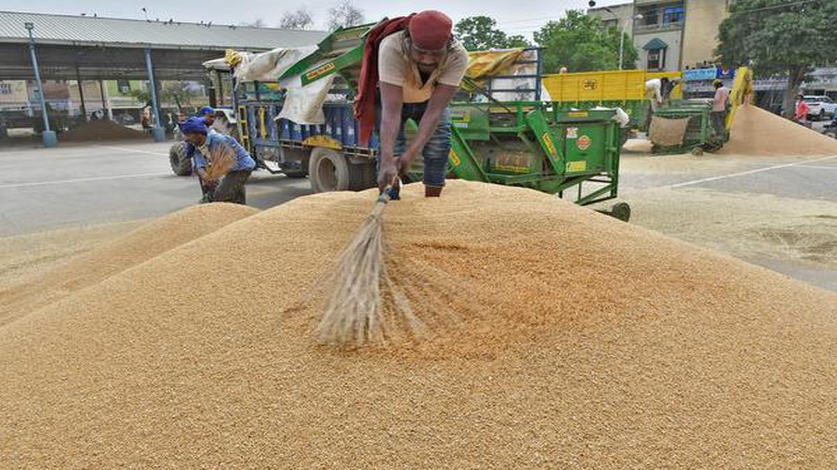 An MSP scheme to transform Indian agriculture