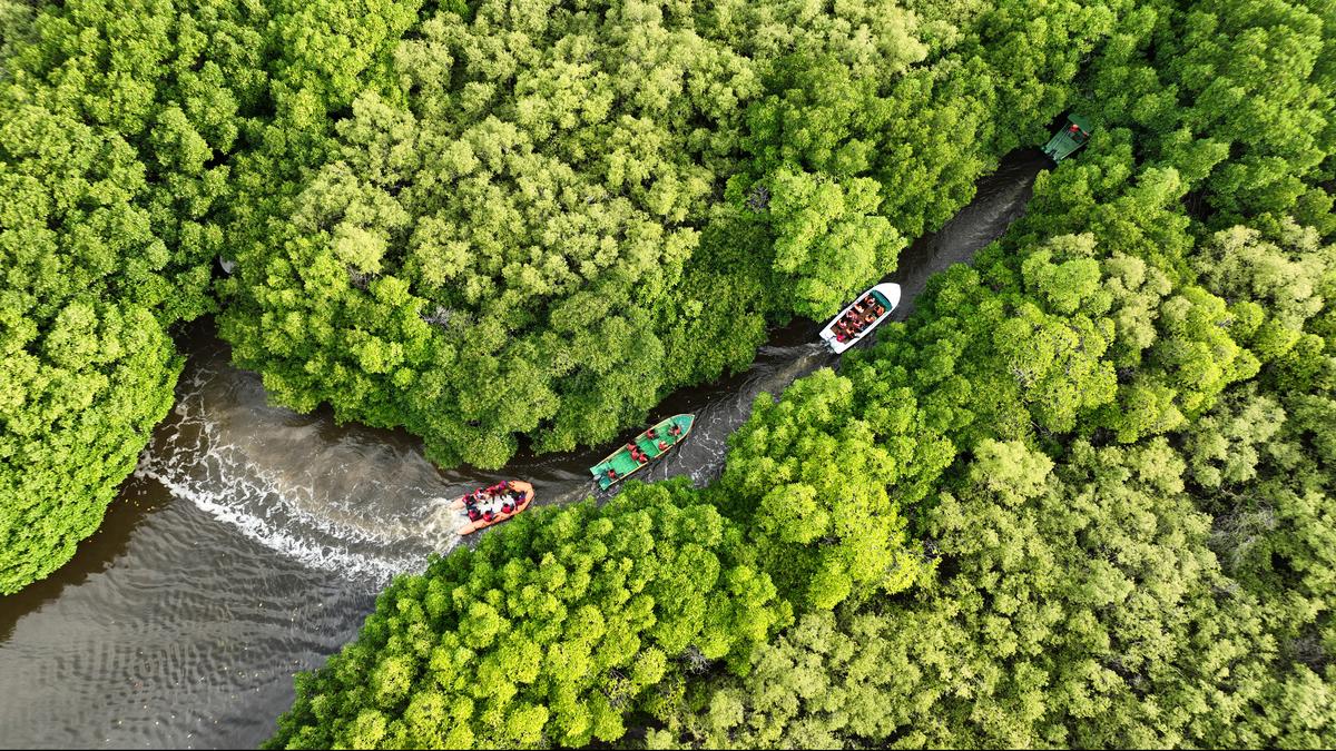 The Tamil Nadu model of sub-State climate action