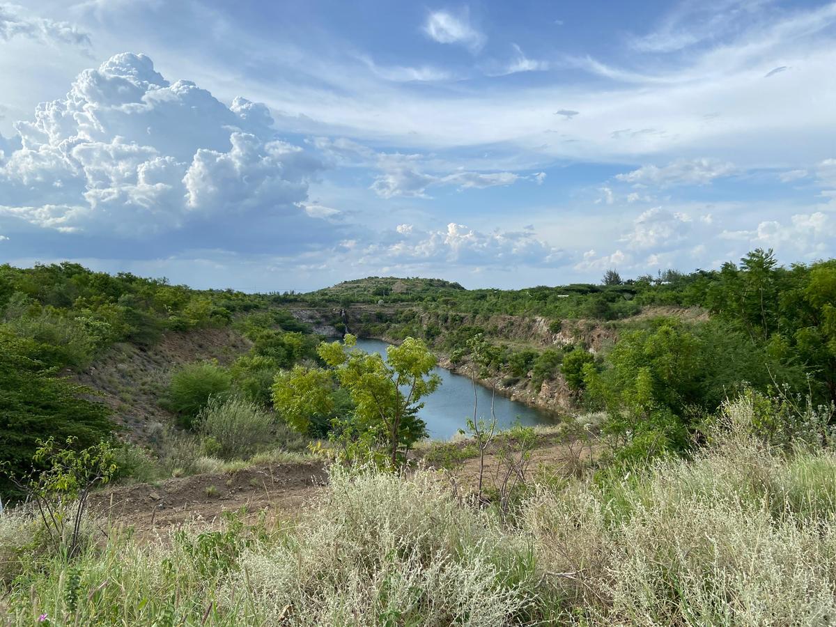 Mezi další klíčové iniciativy Tamil Nadu patří rozsáhlé zalesňování, mangrovy, obnova mokřadů a ochrana biologické rozmanitosti. Foto: Zvláštní ujednání