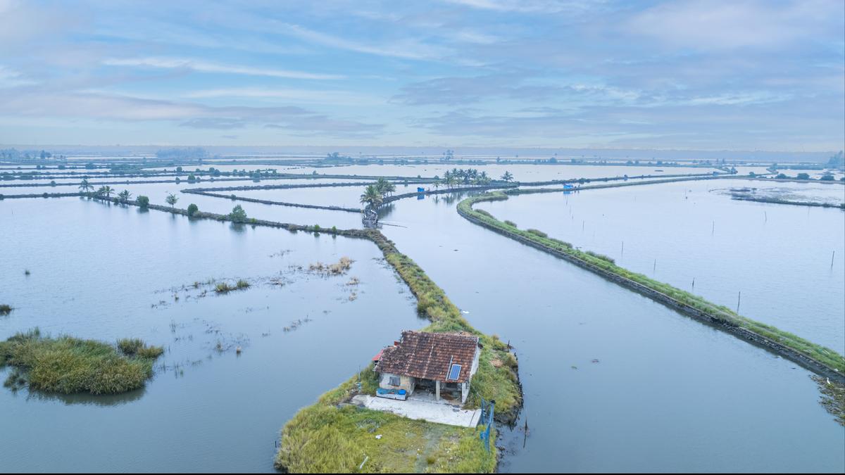 Water management in India needs a new course