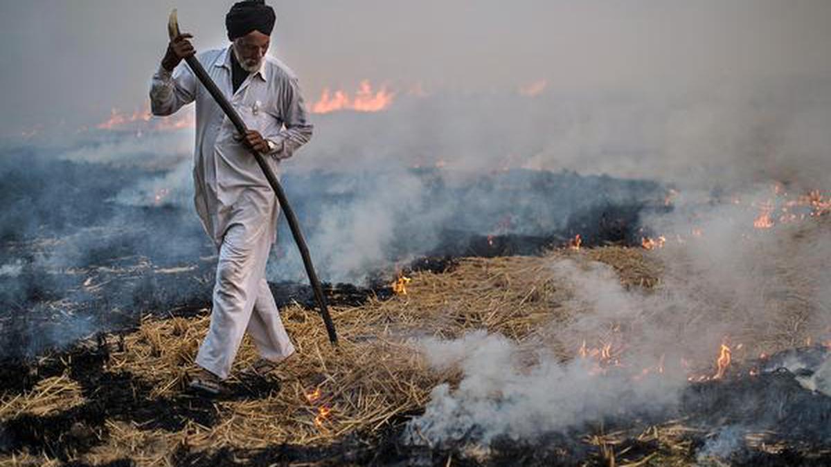 Straws in the wind The Hindu