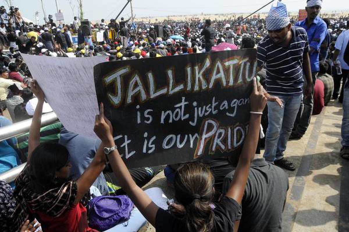 Top 10 Inspiring Moments from Jallikattu Protest