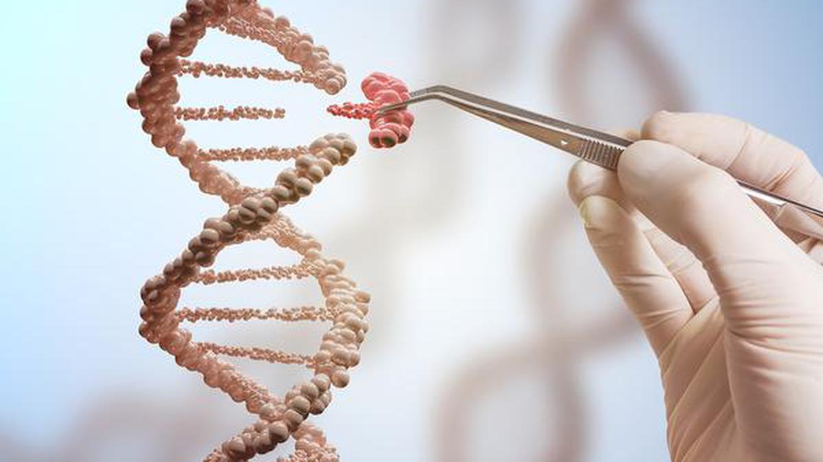 Genome-editing is helping us understand hereditary cancers better
Premium