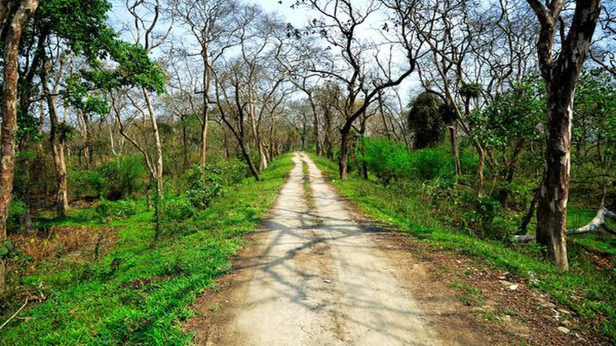 Explained | Why is the tribal panel upset with Environment Ministry over forest rights?