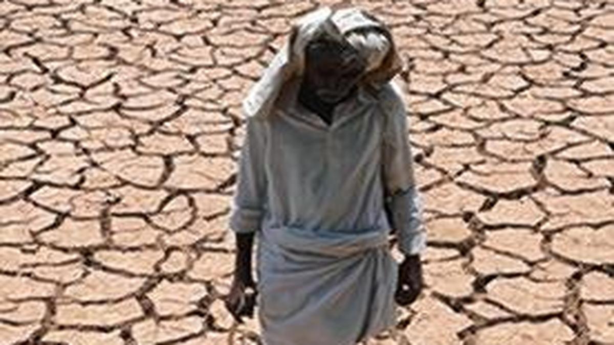 A ladder, not a crutch The Hindu