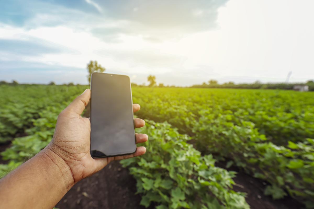 thehindu.com - Reetika Khera - Surveillance apps in welfare, snake oil for accountability