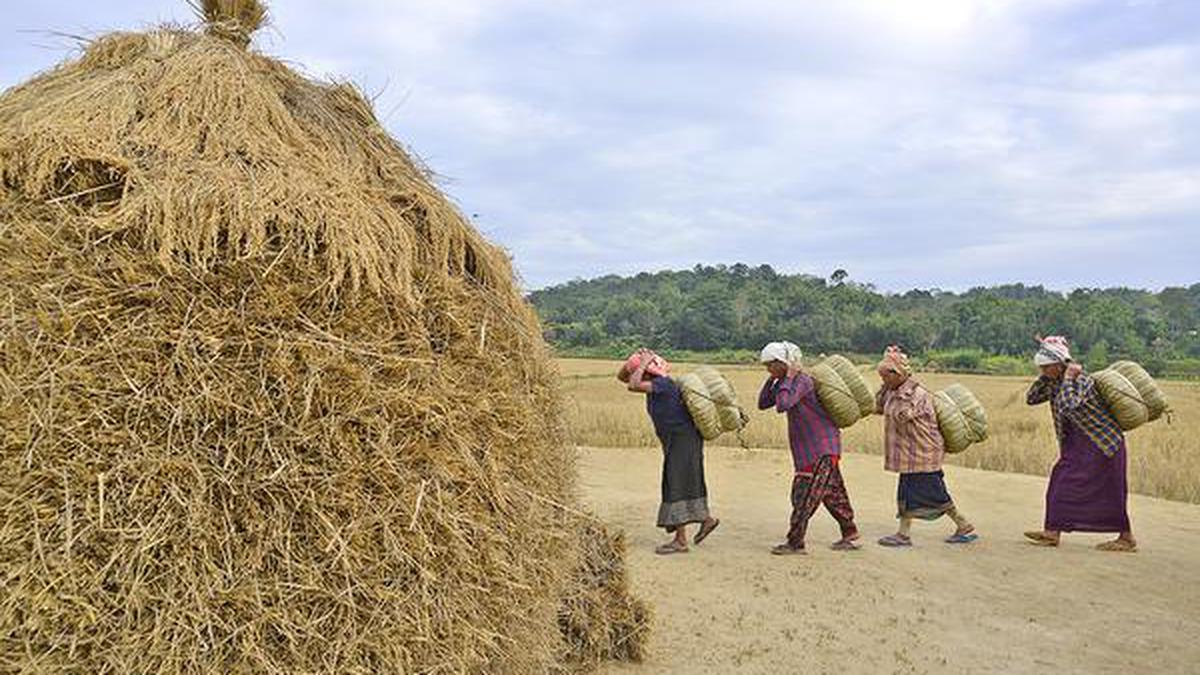 A hazy picture on employment in India