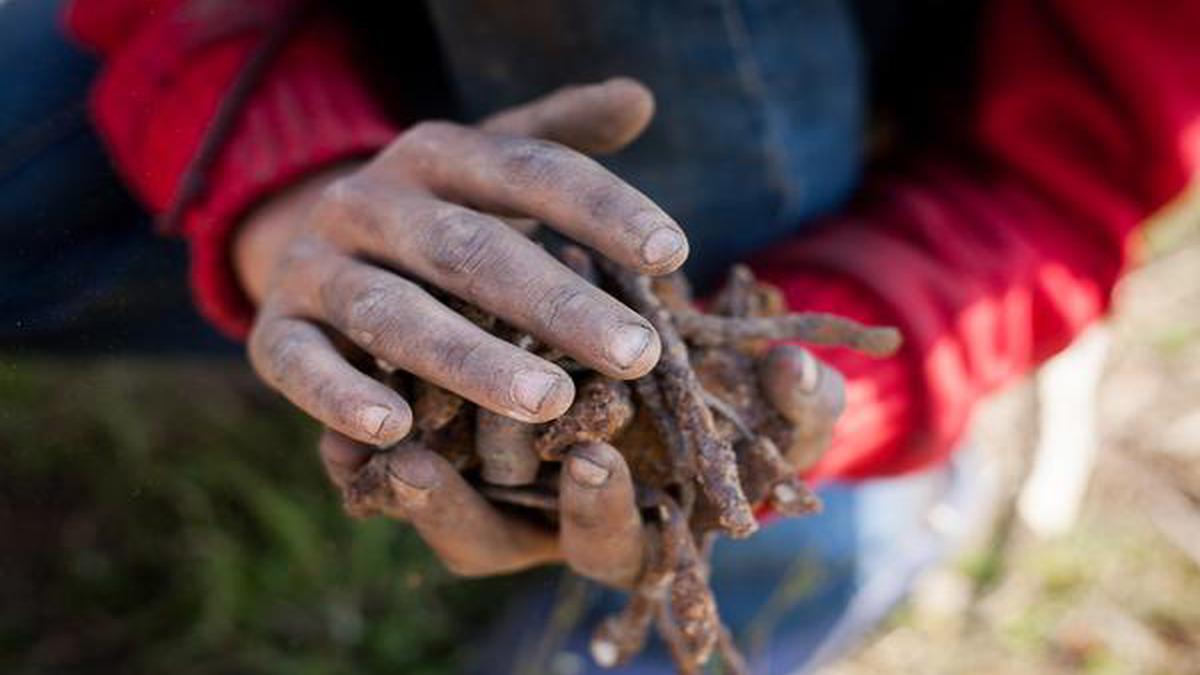 Breaking the cycle of child labour is in India’s hands