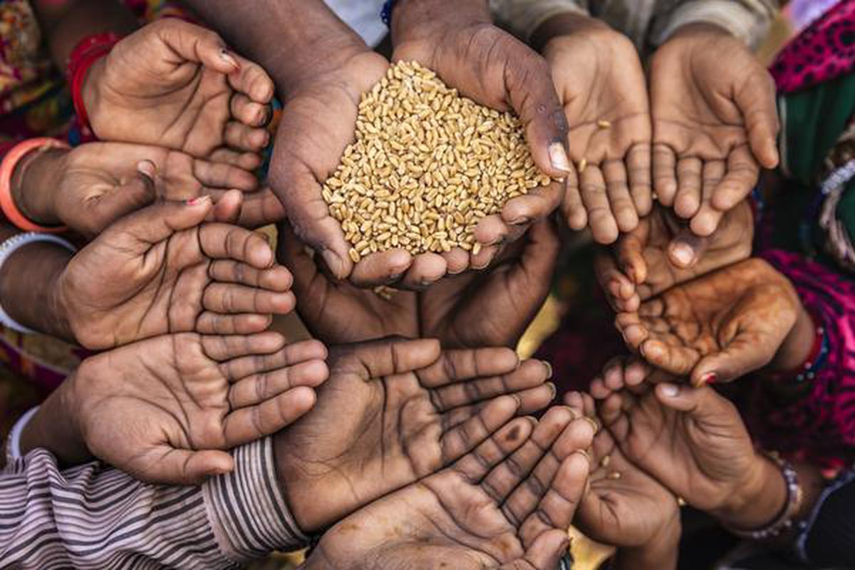 More evidence of India's food insecurity - The Hindu