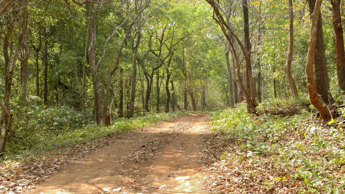 India’s post-LWE future, from red sun to new dawn