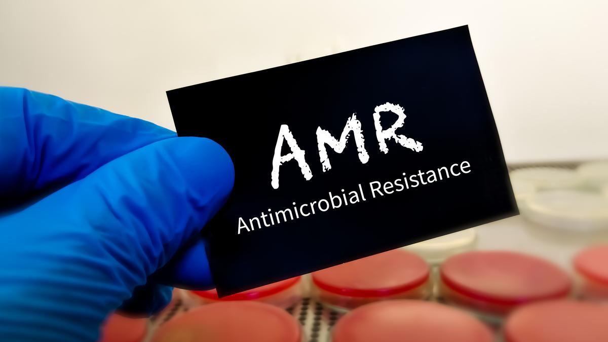 The new action plan on AMR needs a shot in the arm