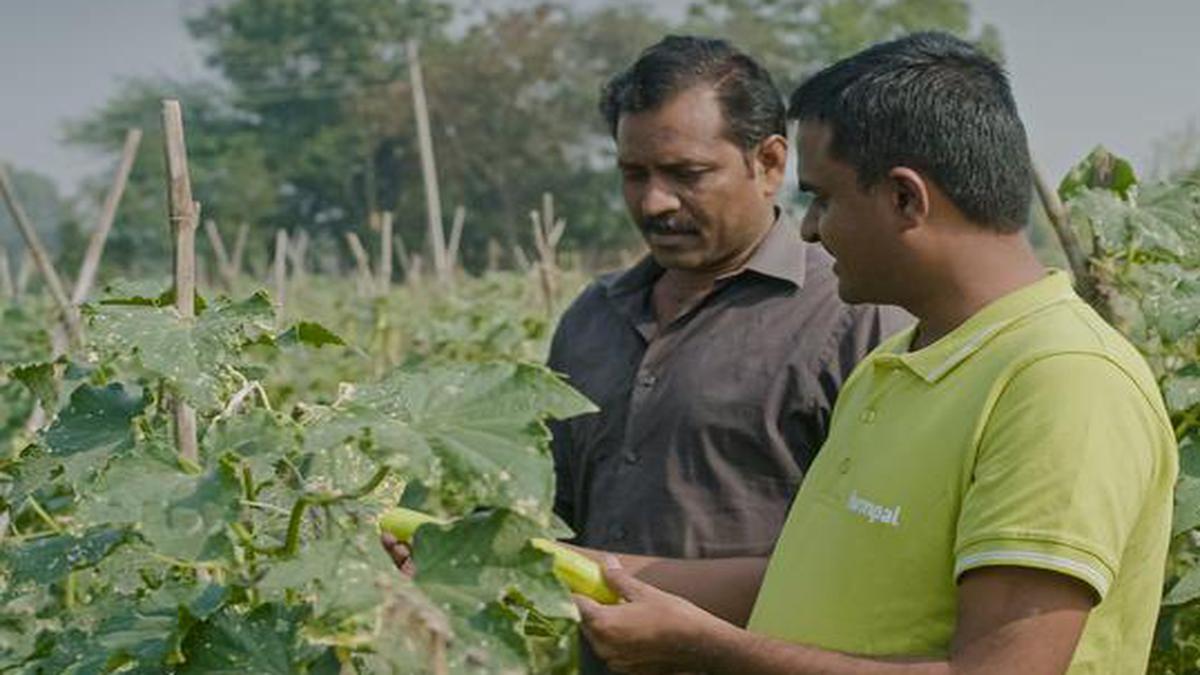 Maharashtra startup makes agriculture beneficial for both farmer and consumer