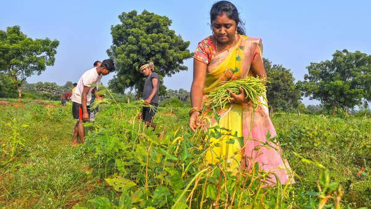 How a farm in Visakhapatnam is popularising natural farming techniques