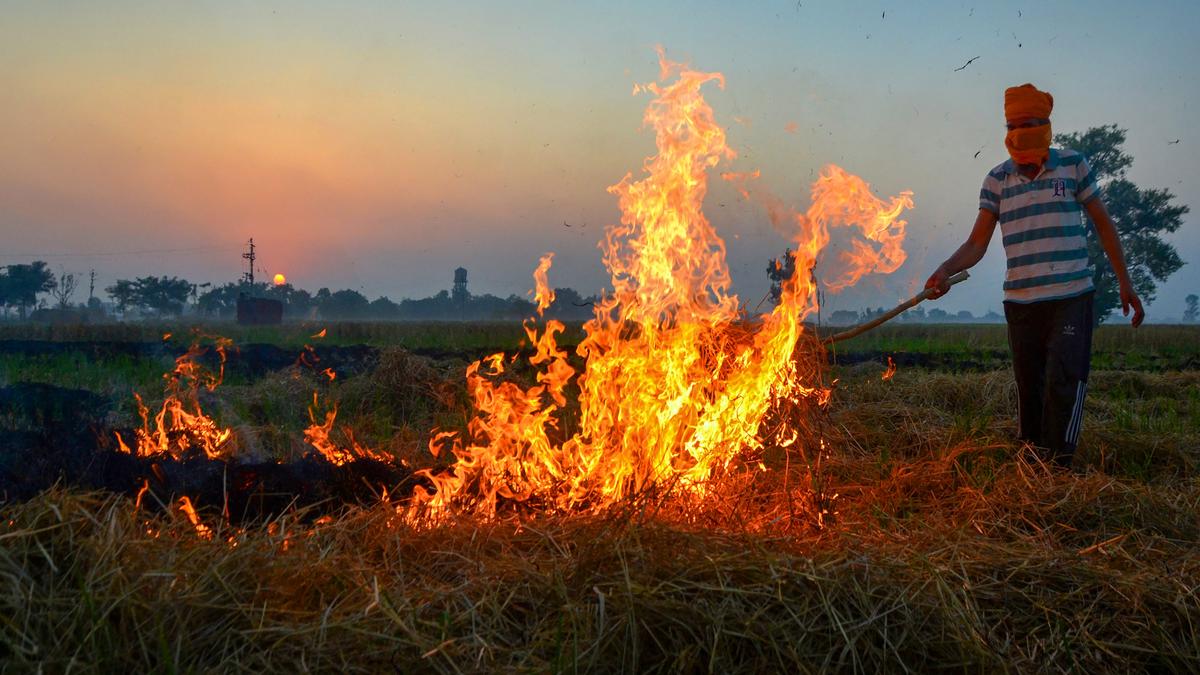 Delhi pollution woes majorly due to stubble burning: Centre
