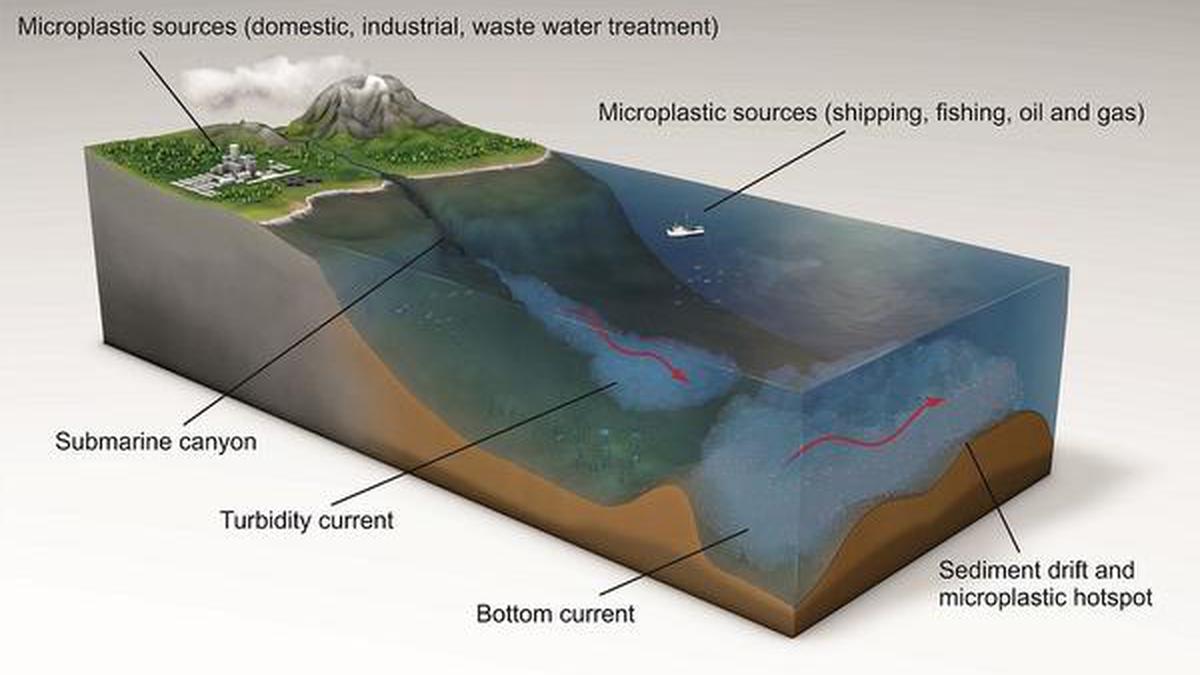 14 million tonnes of microplastics on sea floor: study