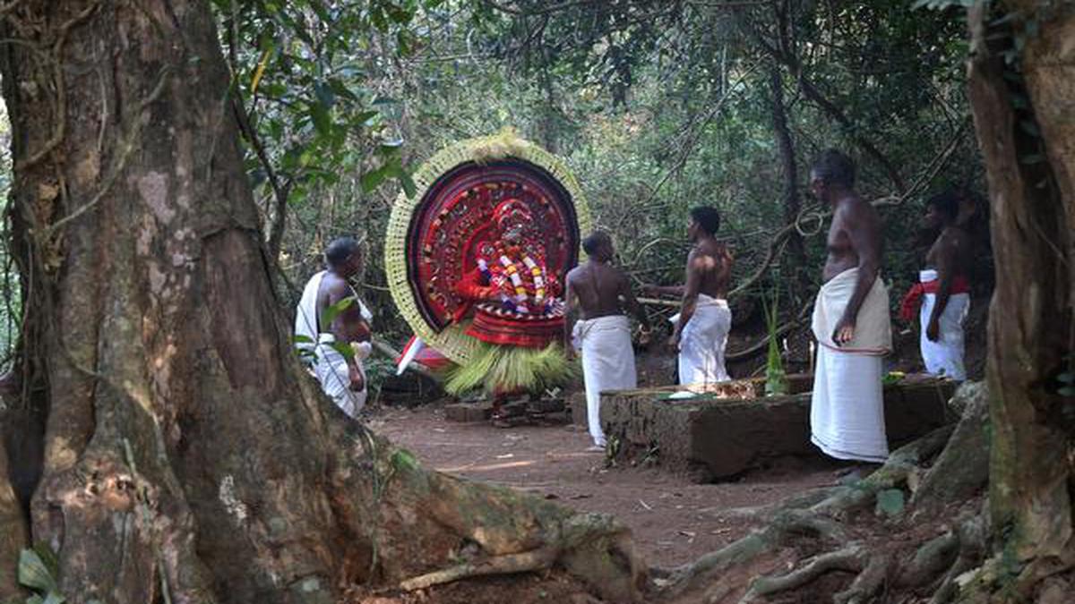 Sacred groves of the Western Ghats are shrinking, and their deities