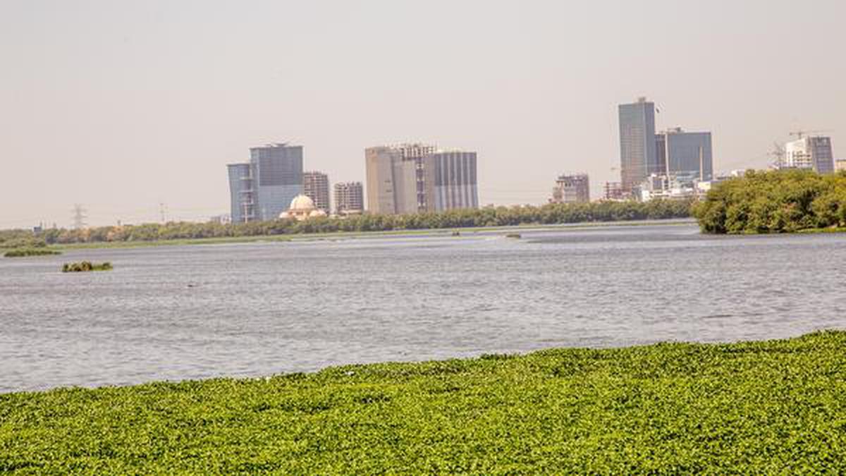 Centre to monitor lockdown impact on Ganga, Yamuna pollution