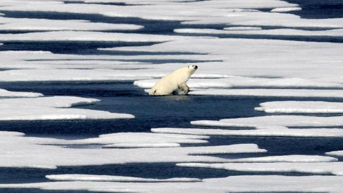 Data | Sea ice extent in Arctic lowest in July since 1979; in Antarctic, it surpassed average level in Sept.