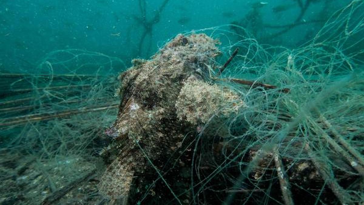 Silent ghosts How diveractivists are removing abandoned or lost fishing nets from the oceans