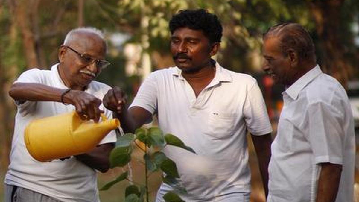 Members of the VOC Park Walkers Club have planted many trees in the