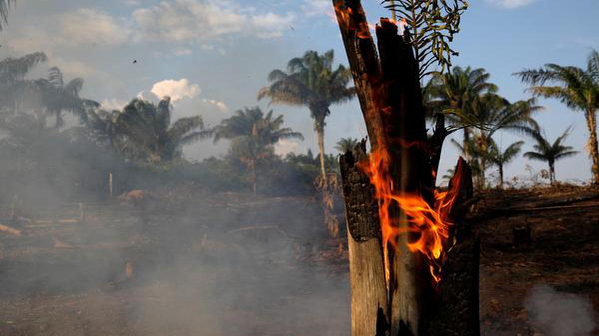 Wildfires rage in Brazil's Amazon forests, 83% rise from last year