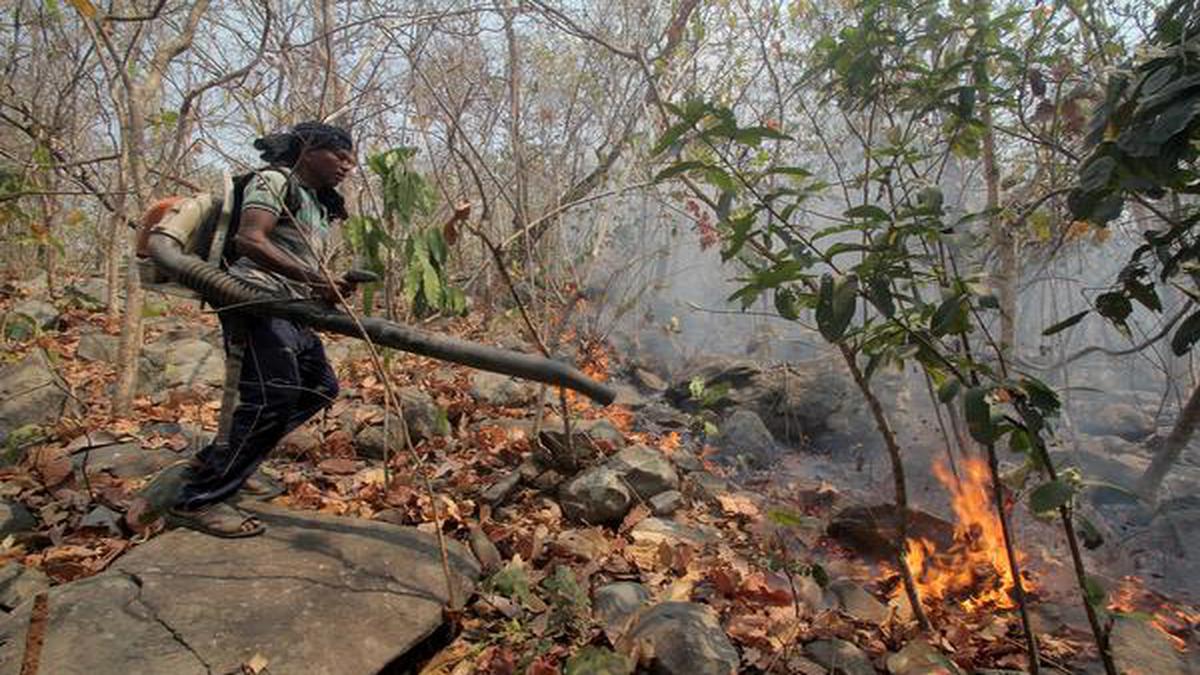 Pradhan seeks Centre’s urgent intervention to contain forest fires in Odisha