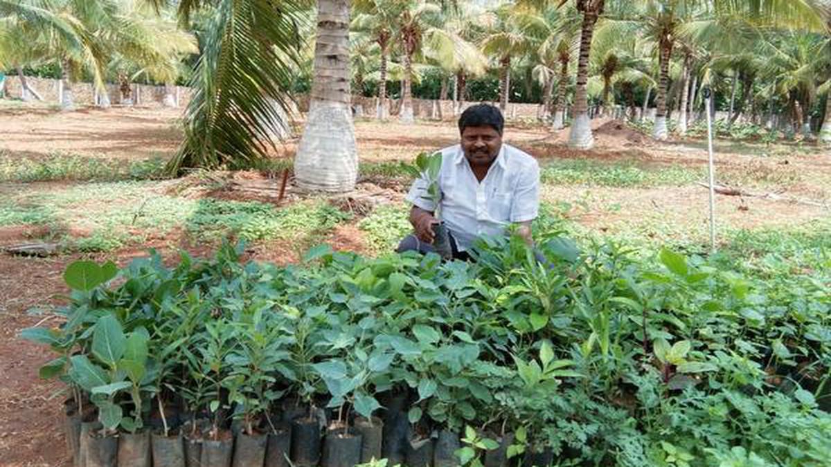 Environmentalist M Yoganathan opens a nursery where he will grow and