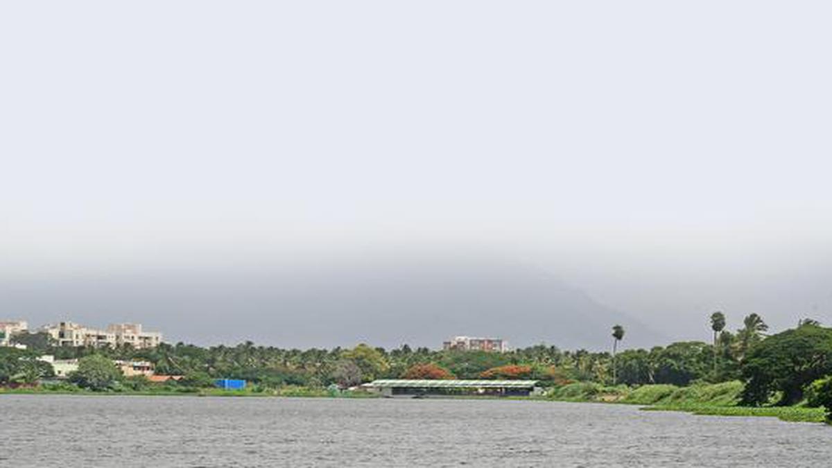 Lakes of Coimbatore come alive after the monsoons