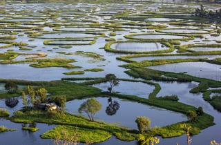 Manipur's Loktak lake chokes from a catastrophic project flagged off 50 years ago - The Hindu