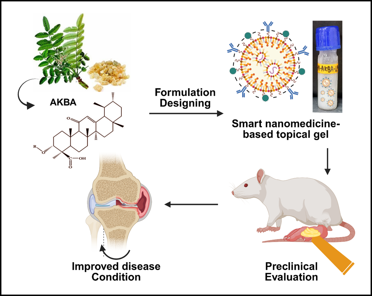 शोध कैसे काम किया शोध कैसे काम किया
