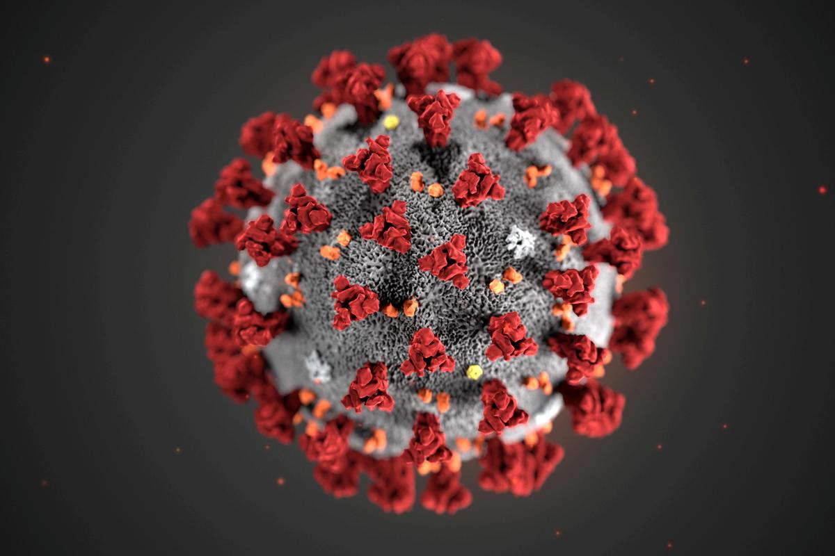 VINCOV-19, the country’s first anti-dote for COVID, ready for phase 3 trials, market authorisation