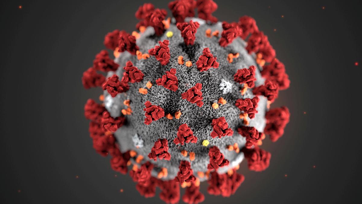 Le COVID-19 est la deuxième cause de décès dans le monde en 2021 ;  espérance de vie réduite : étude du Lancet