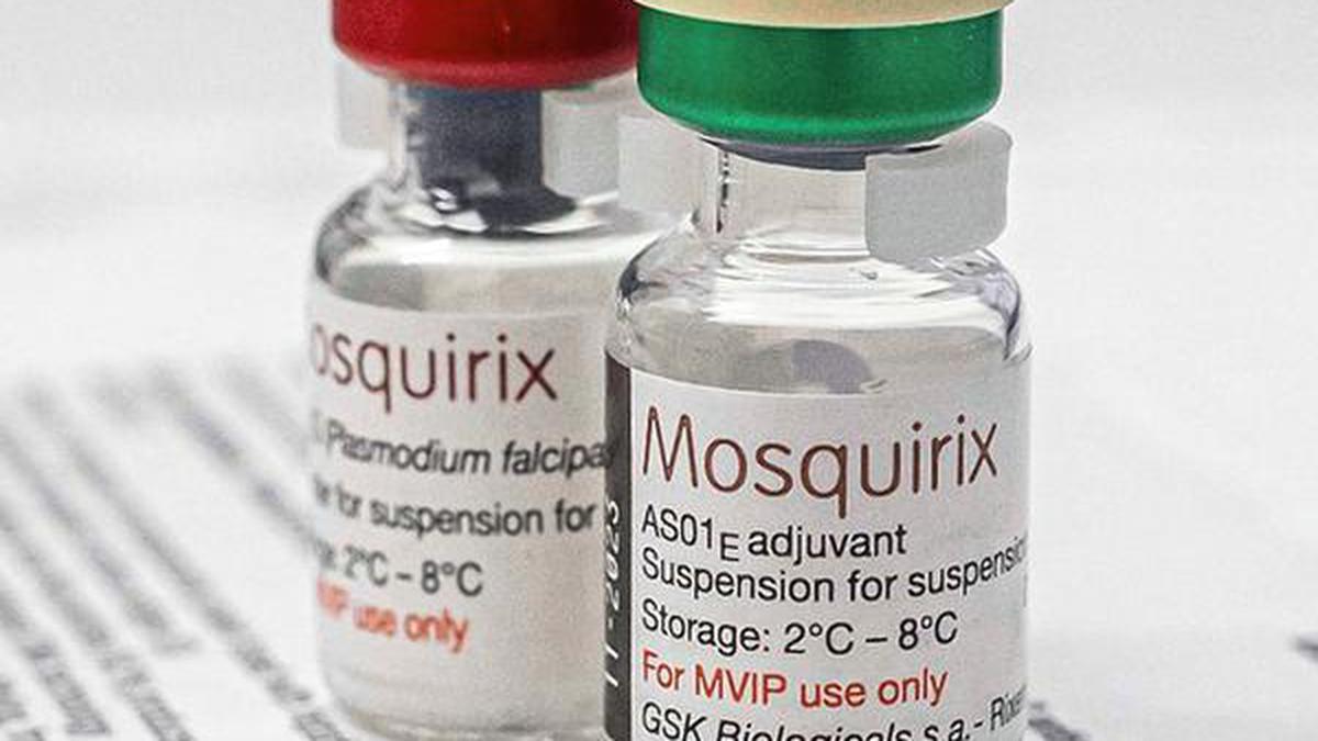 Explained Will India benefit from the malaria vaccine