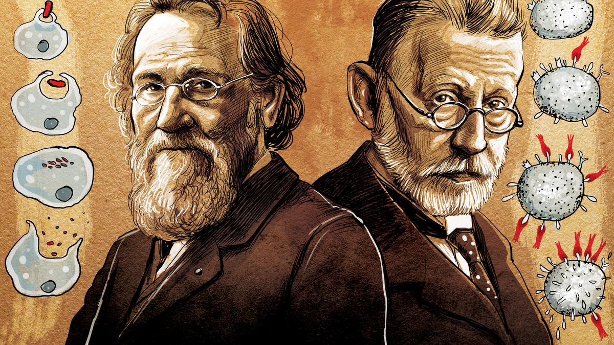Ilya Mechnikov and Paul Ehrlich: Nobel laureates who defined the scientific foundations of immunology