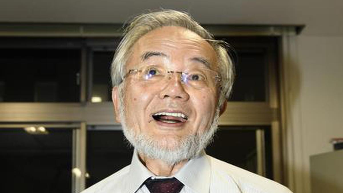 Yoshinori Ohsumi of Japan Wins Nobel Prize for Study of 'Self-Eating' Cells  - The New York Times