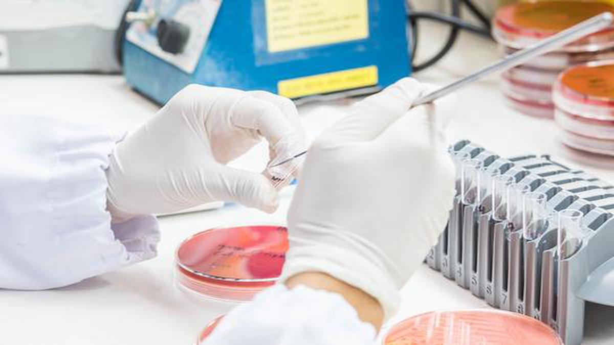 We need to talk about AMR - The Hindu
