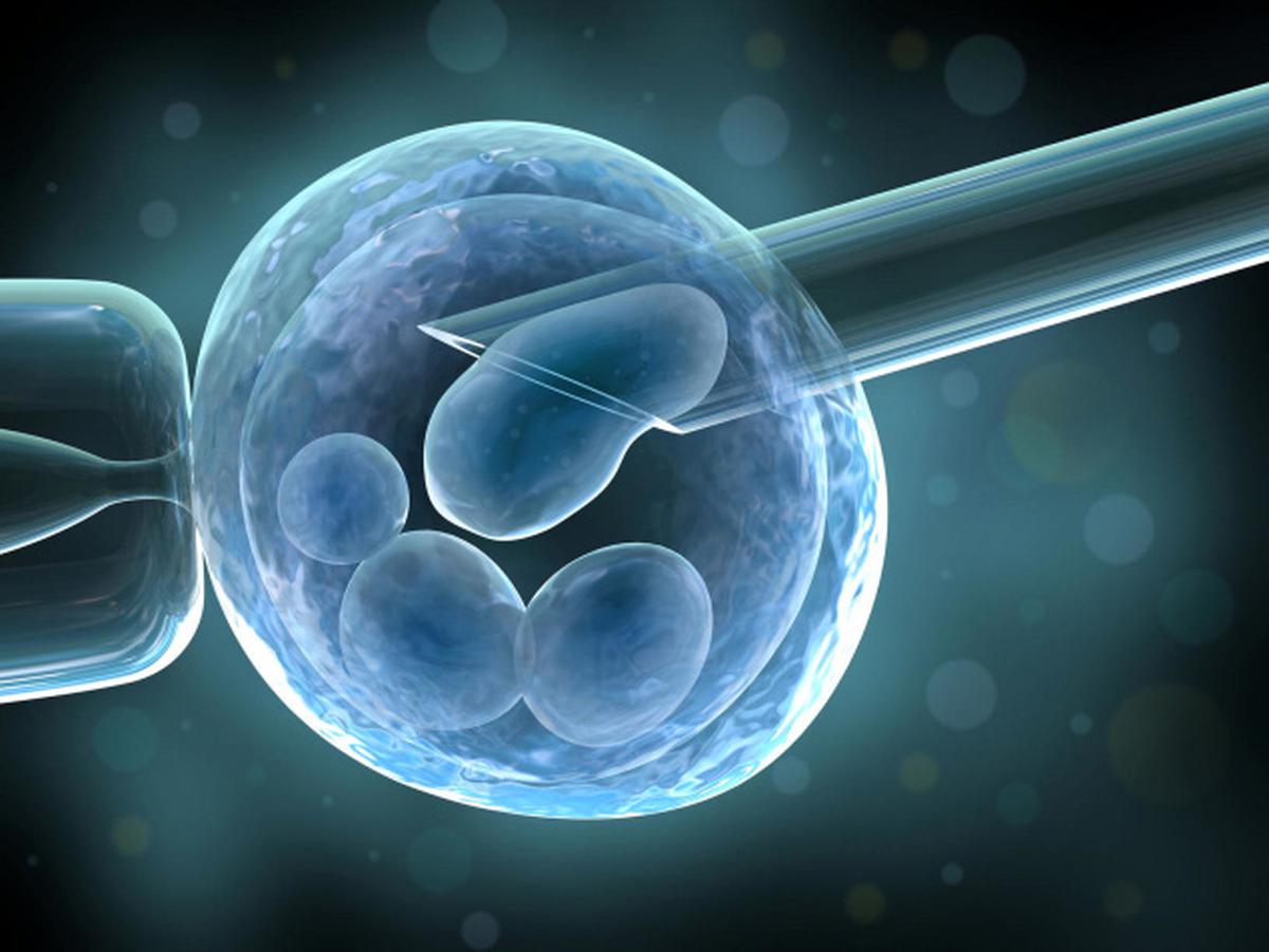 Assisted Reproductive Technology Regulation Bill proposes national registry of clinics