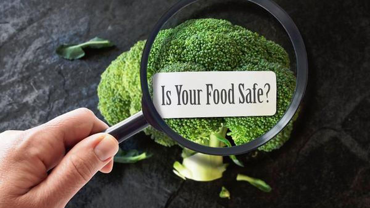 Food safety is everyone’s business: WHO