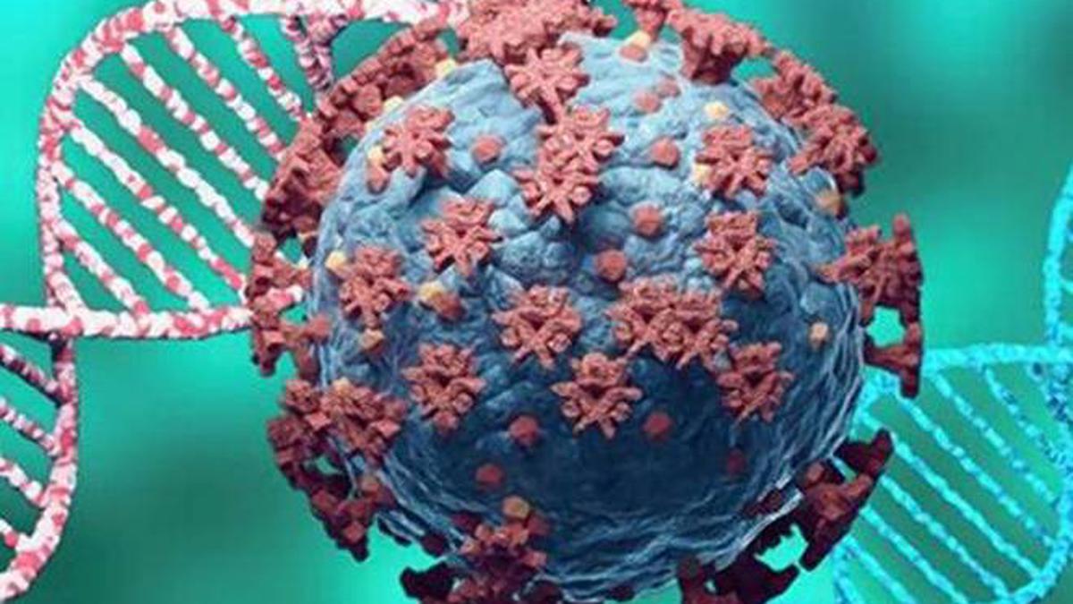 Novel host-specific molecule slows down SARS-CoV-2, influenza virus