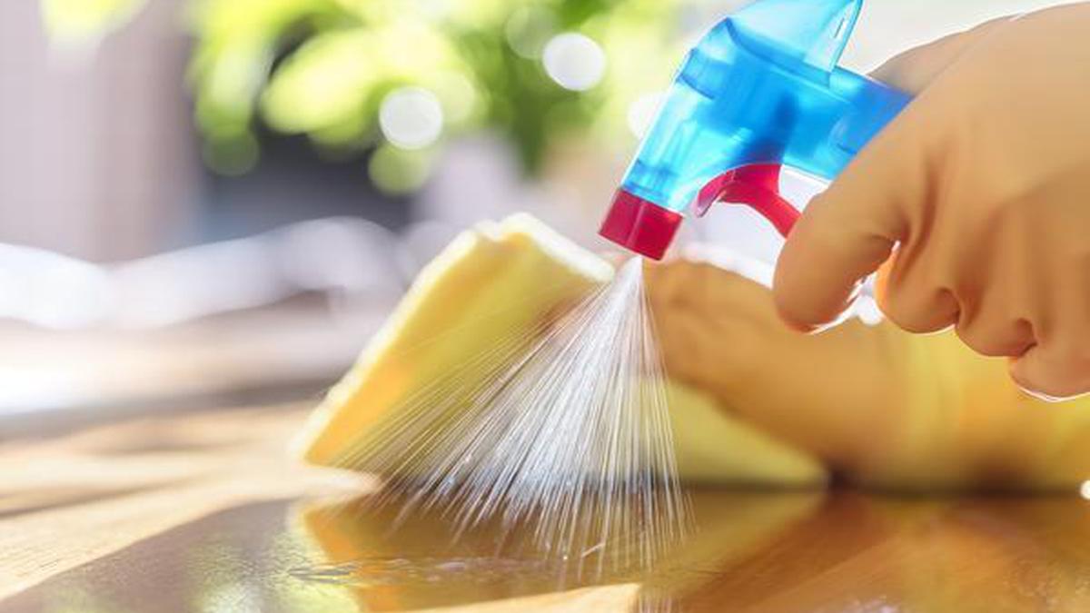 What is the difference between cleaning, disinfecting, sterilising?