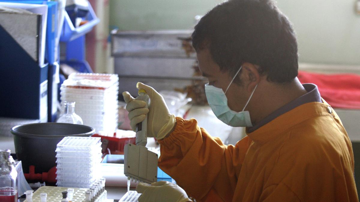 Most avian flu outbreaks in India reported from post-monsoon to pre-summer season: study