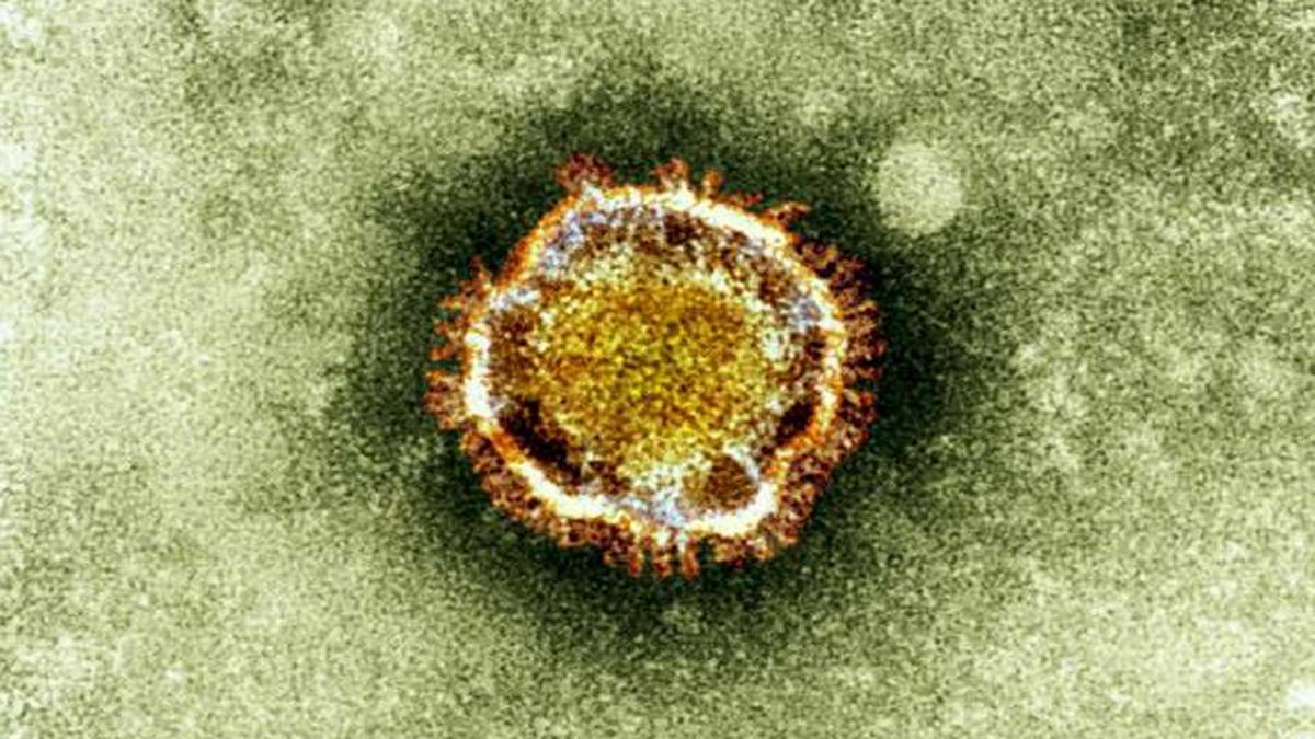 Les dommages aux organes persistent chez près de 60 % des longs patients atteints de COVID-19 un an après le diagnostic initial : étude