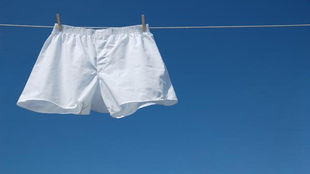 An overview of edible underwear The Hindu