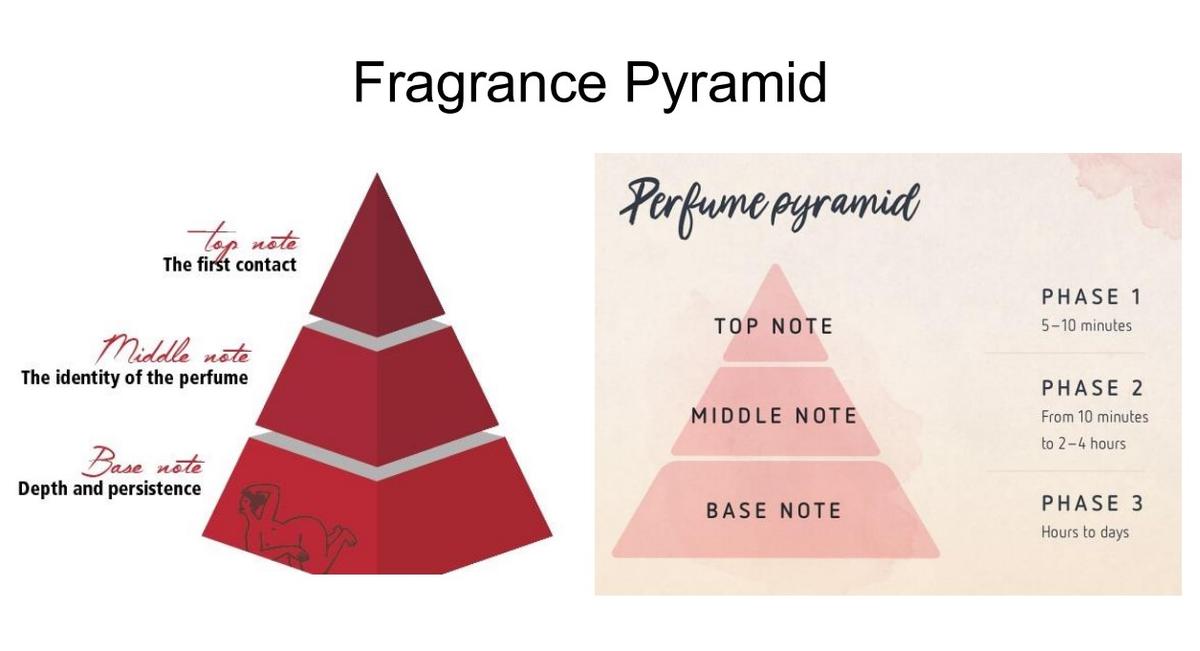 The evolution of a fragrance over time, dividing it into three main scent layers: top notes (initial impression), middle notes (heart), and base notes (lasting scent) The evolution of a fragrance over time, dividing it into three main scent layers: top notes (initial impression), middle notes (heart), and base notes (lasting scent)