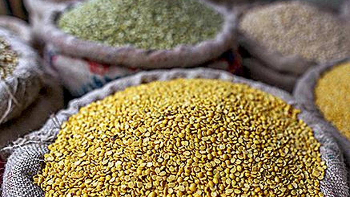IndiaMyanmar pigeon pea project gets a research boost The Hindu
