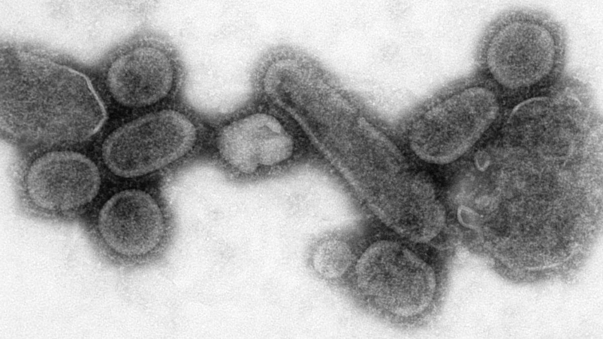 The story of how the deadliest virus to humans was revived