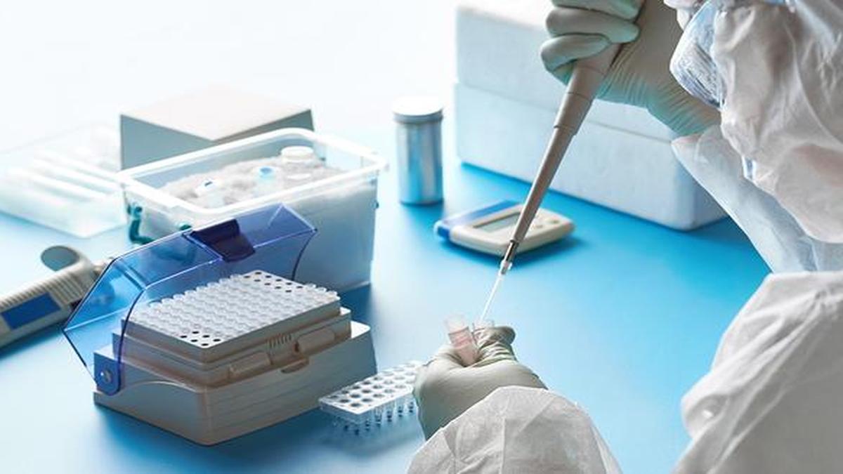 Coronavirus RTLAMP a new technology for detecting COVID19 The Hindu