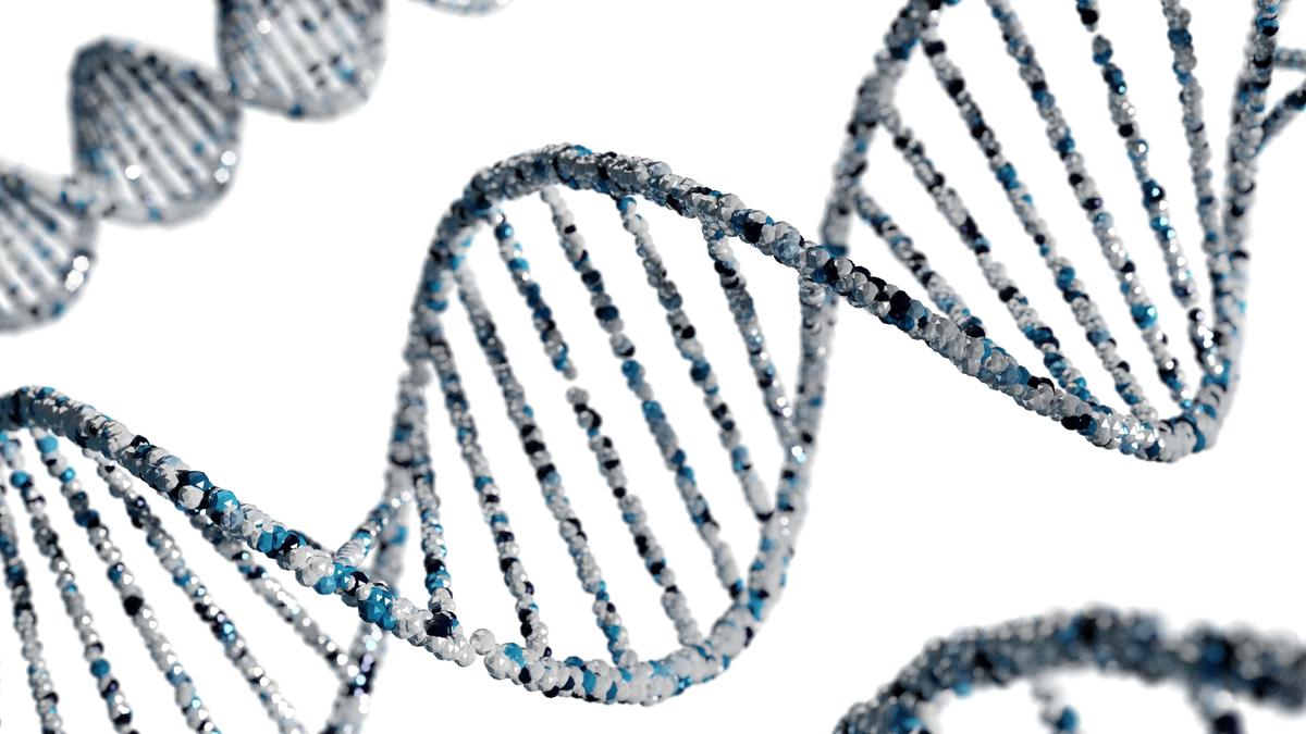 Cell-free DNA promises to transform how we find diseases
Premium